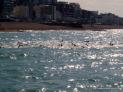 Thumbnail for Aquathon